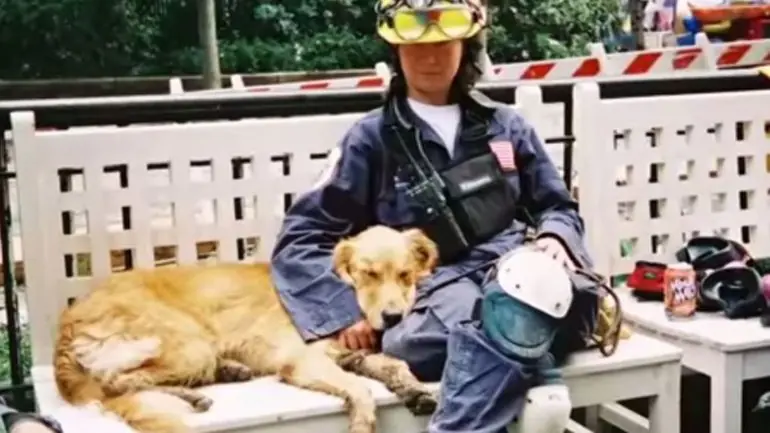 perro