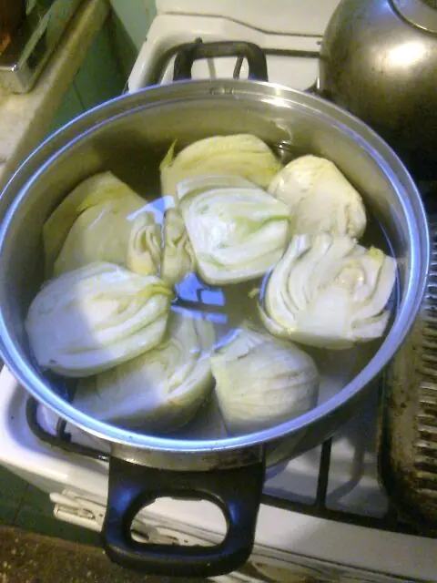 cocina cocina