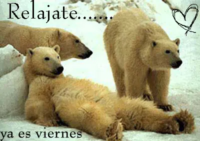 hacer