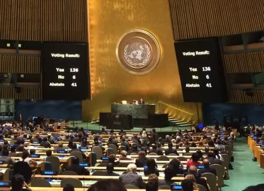 La Asamblea General de la ONU aprobó la iniciativa argentina