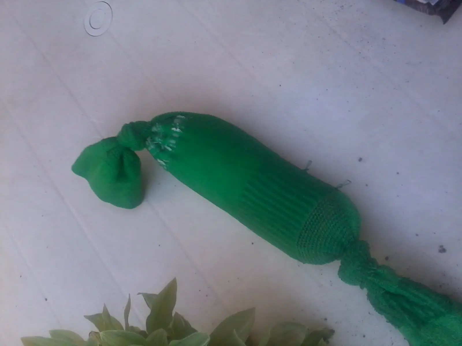 caseras