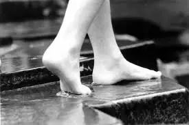 Los pequeños placeres de la vida + Bonus