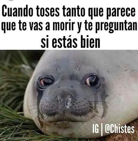 Super-Post Imagenes para reír un rato