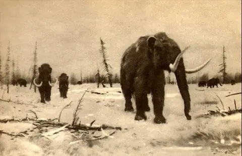 24 Datos Curiosos Que Suenan  Falsos, Pero Son Ciertos.