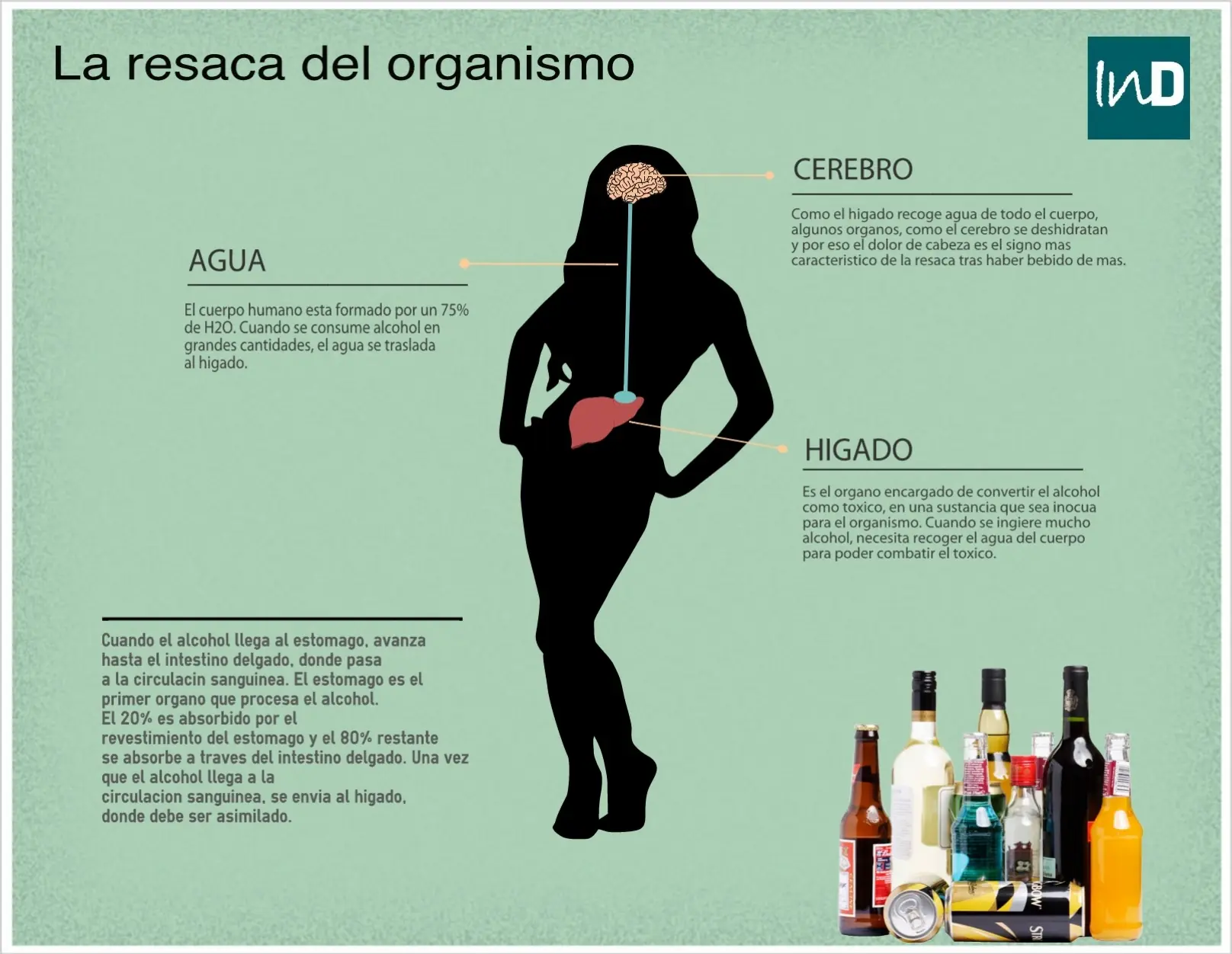 Recuperate de la resaca con este post