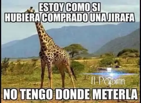 humor