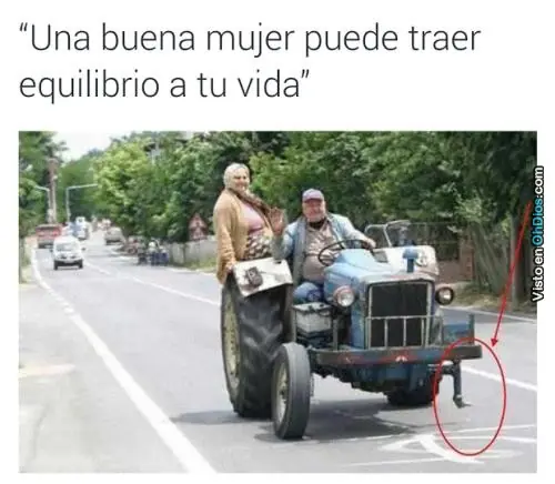 Recopilado de imágenes graciosas para pasar la tarde