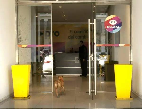 perro
