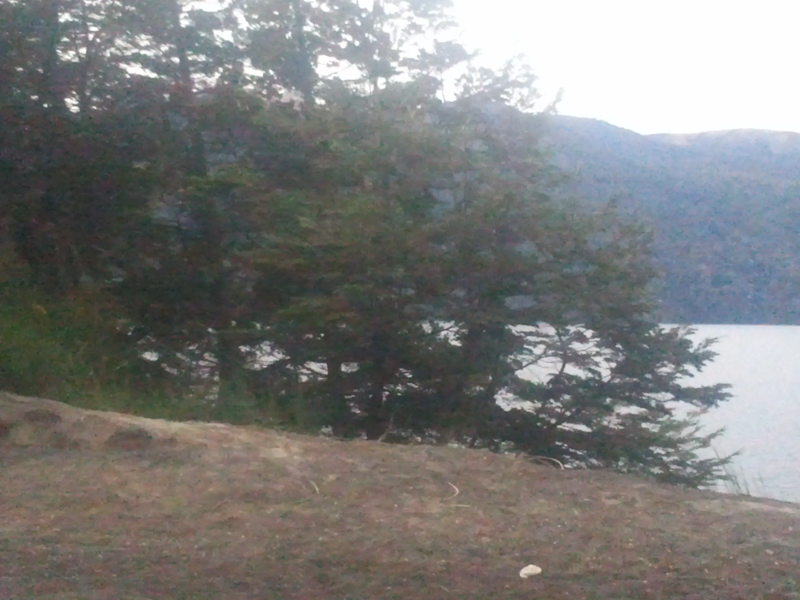 relax