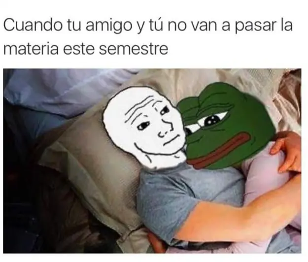 Comprender