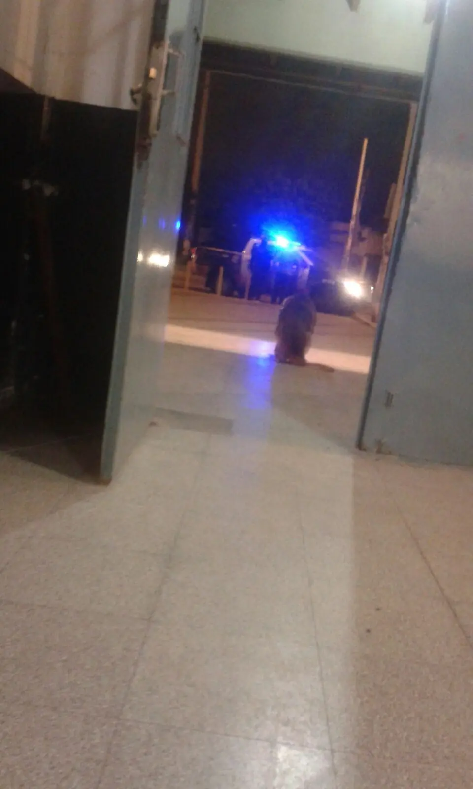 Nos denunciaron por cuidar a una abuela de 90