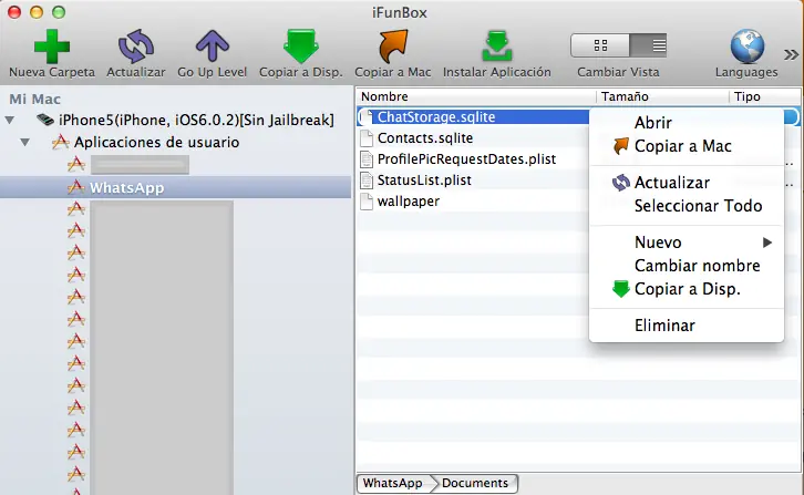 revisar whatsapp online