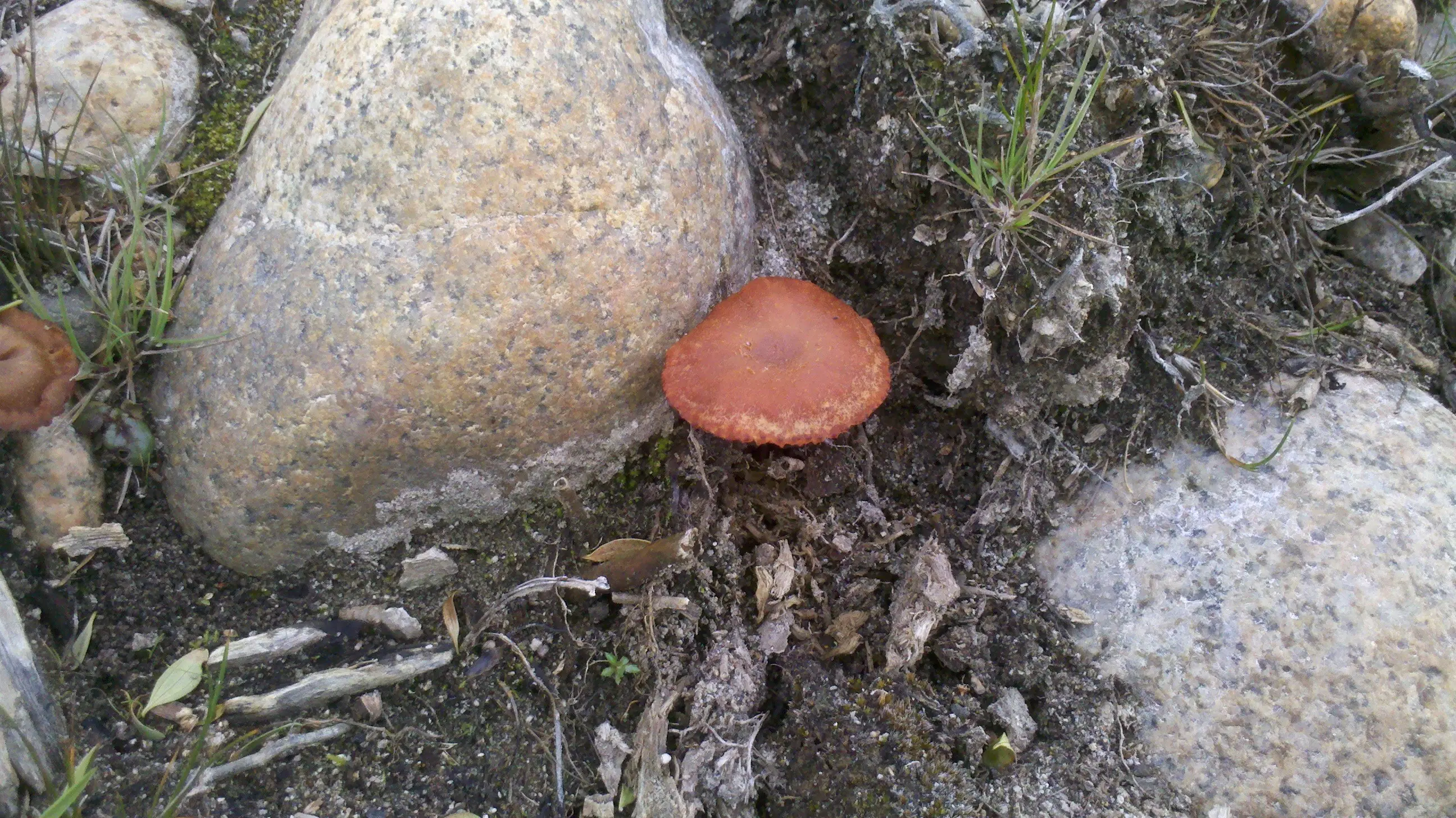 belleza natural