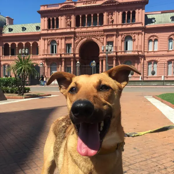 Te presento a balcarce el perro presidencial de macri