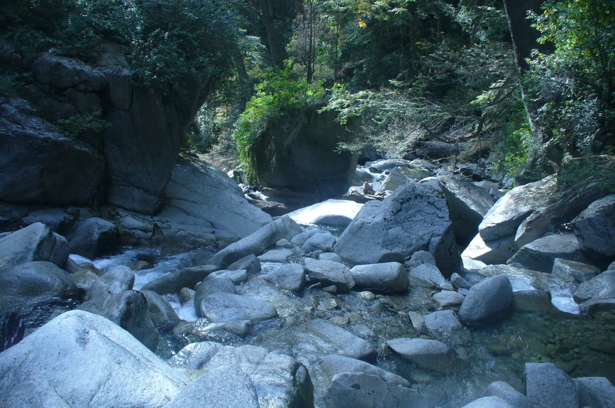 belleza natural