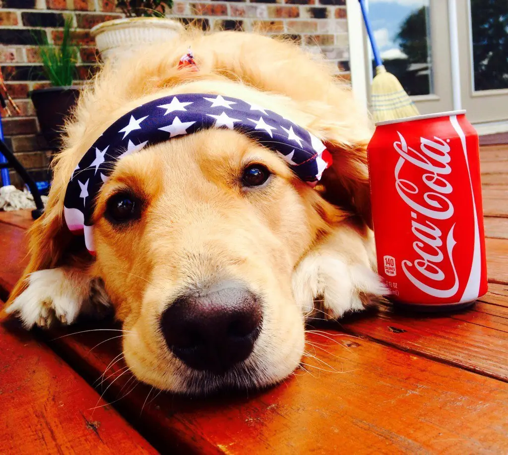 20 cosas de Coca Cola que nunca escuchaste