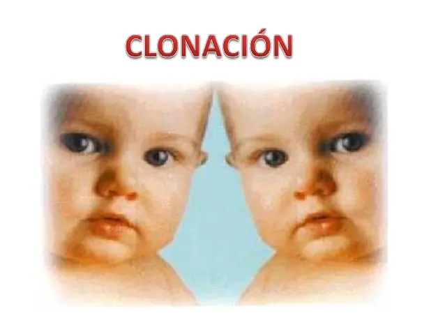 taringa