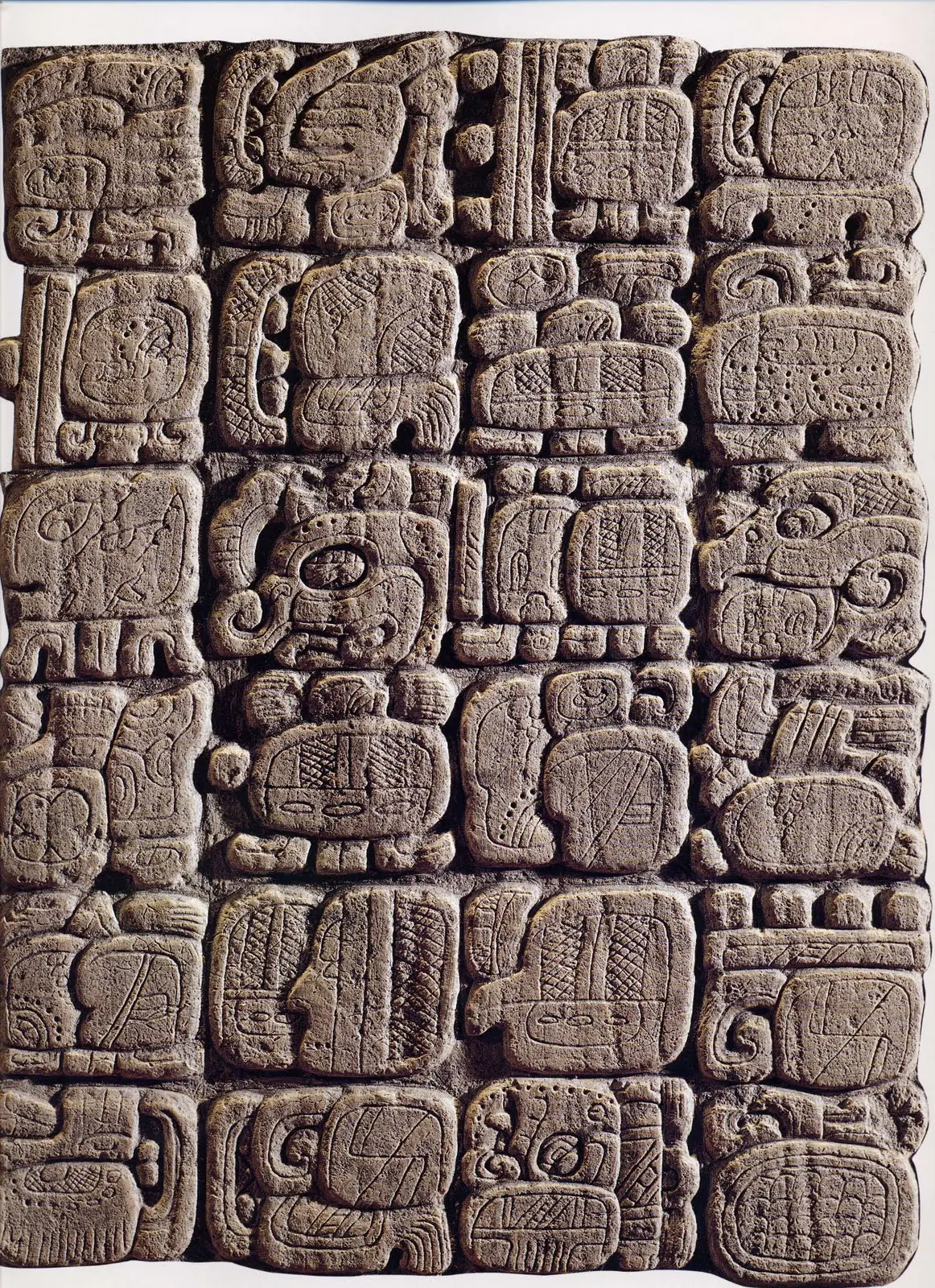 Los códices prehispánicos: creaciones escritas por sabios