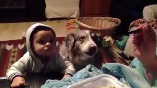 El asombroso perro que dice "mamá"