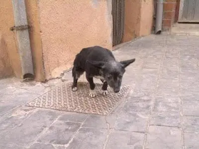 anciana