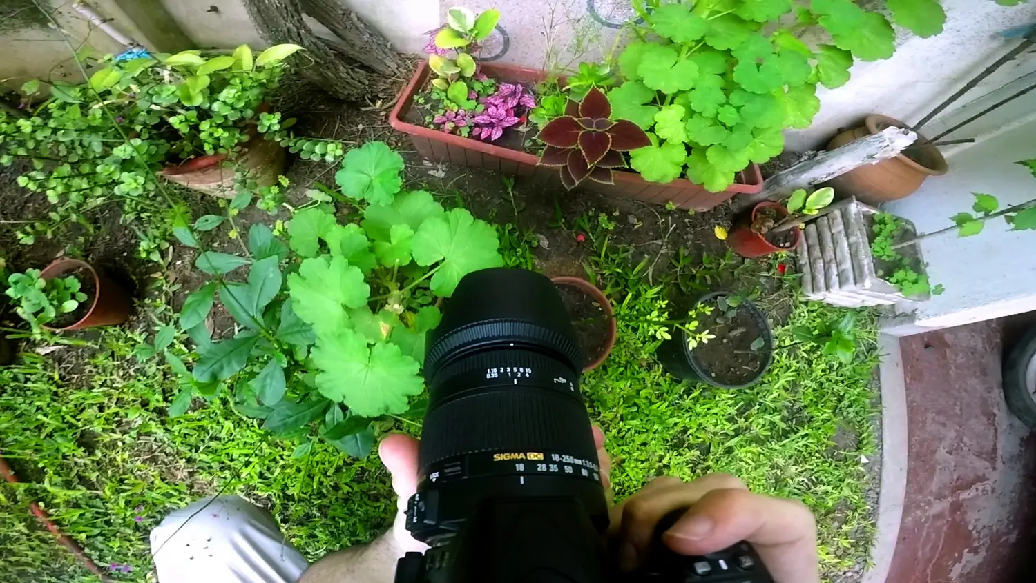 Camara
