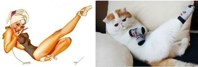 20 imágenes para chicos ;) si! PIN UP vs gatitos!