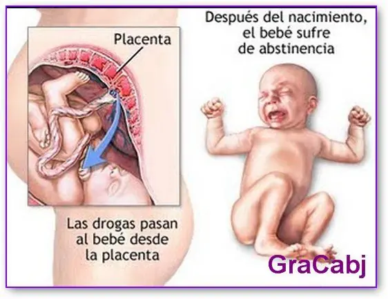 Drogadiccion:  circula, atrapa y mata ...
