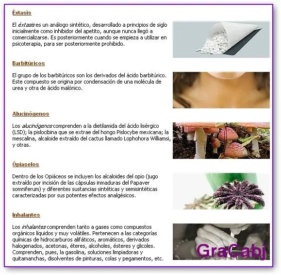 atrapa