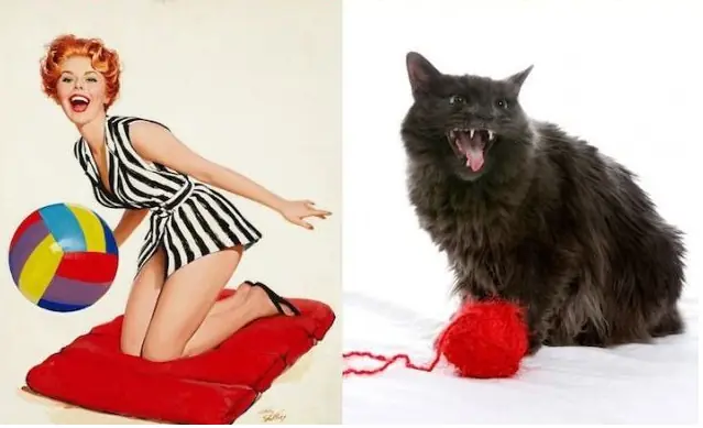 20 imágenes para chicos ;) si! PIN UP vs gatitos!