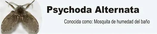 medio ambiente