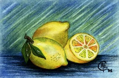 alimentos