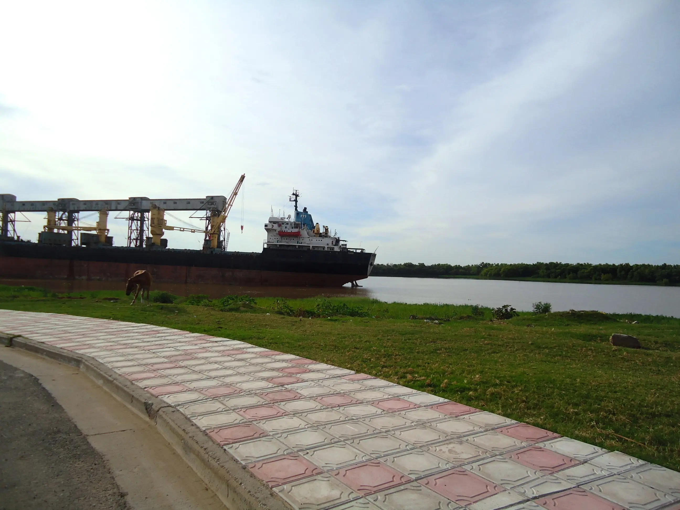 rio parana