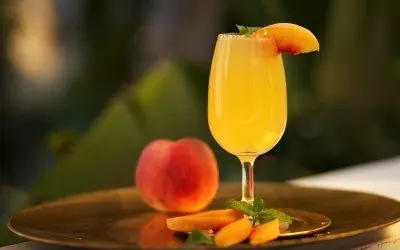 cocteles
