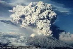 inteligencia colectiva