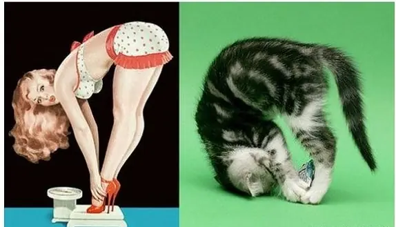 Modelos pin up