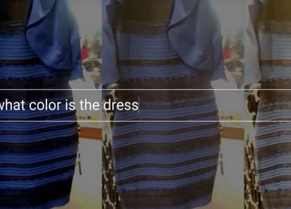 Google reveló mas búsquedas