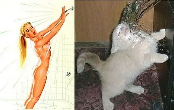 20 imágenes para chicos ;) si! PIN UP vs gatitos!