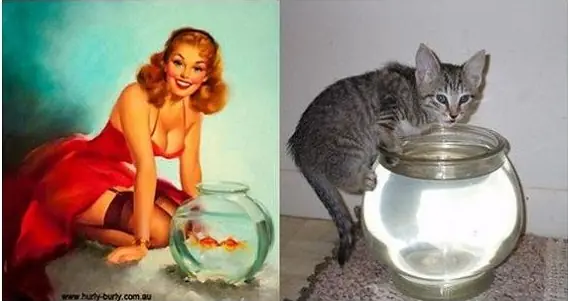 20 imágenes para chicos ;) si! PIN UP vs gatitos!
