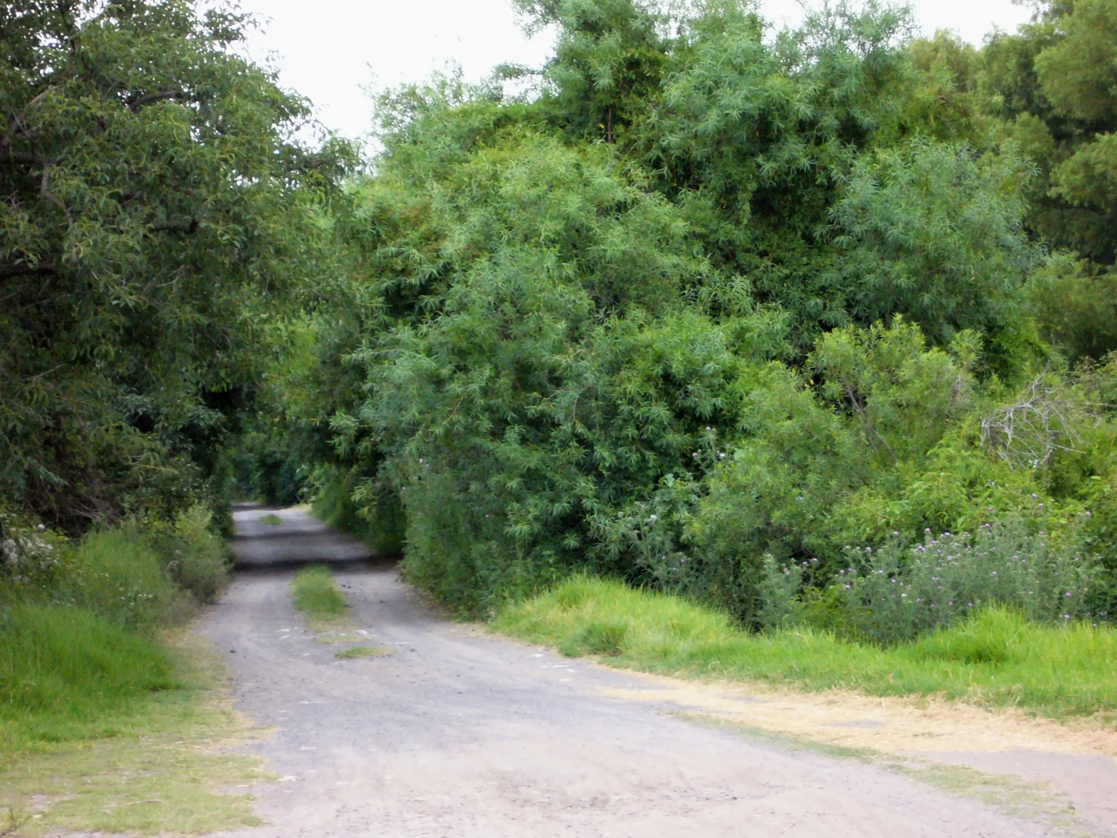 Isla del Sol (V.Const Santa Fe)