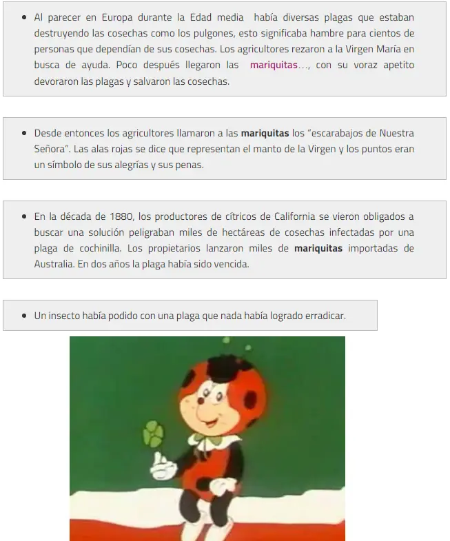 cocomiel 10 curiosidades