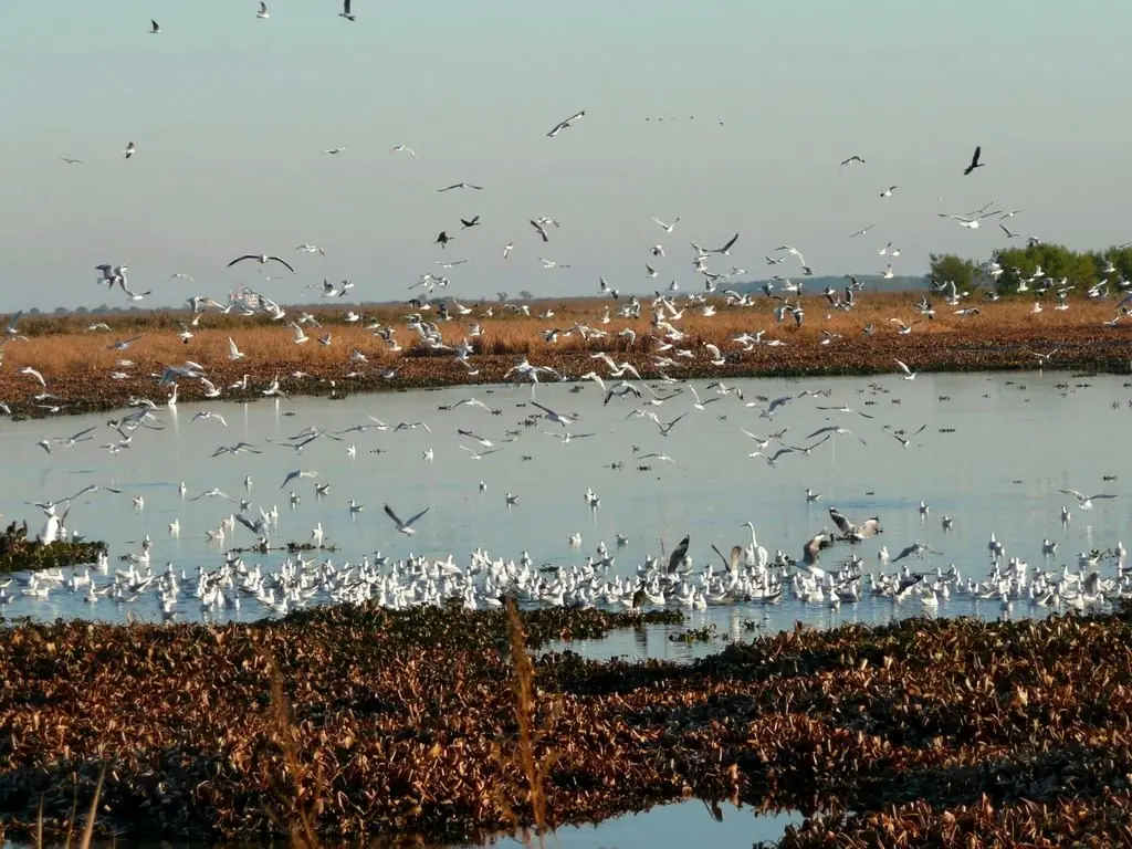 reserva ecologica