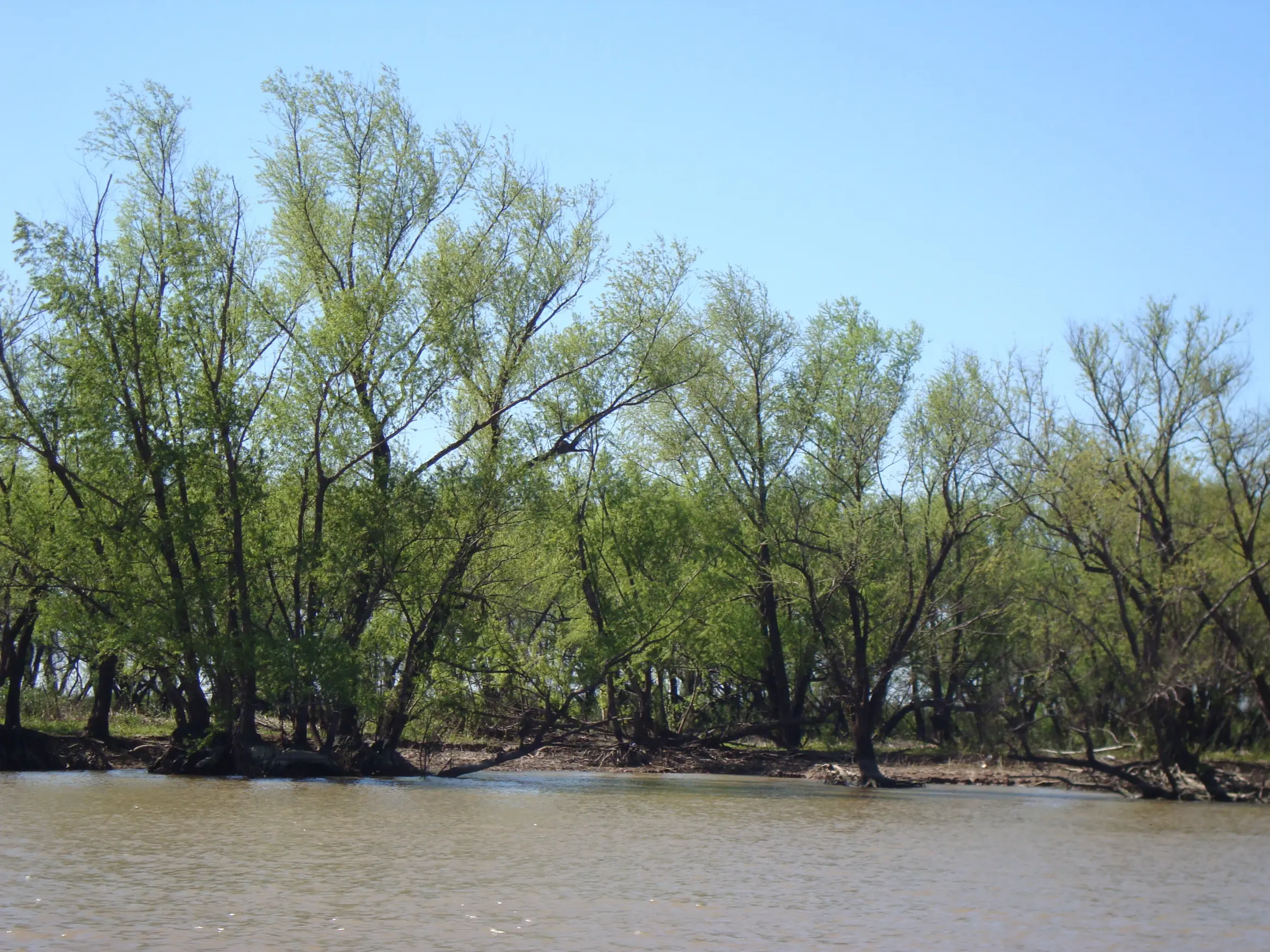 Isla del Sol (V.Const Santa Fe)