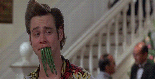 gif de ace ventura jim carrey