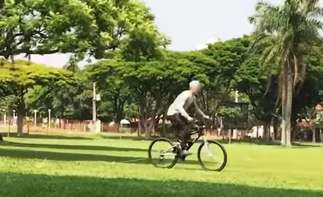 bicicletas
