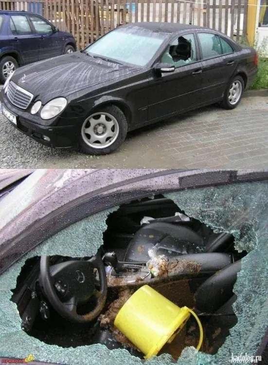 Venganza
