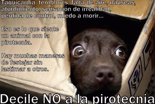 navidad