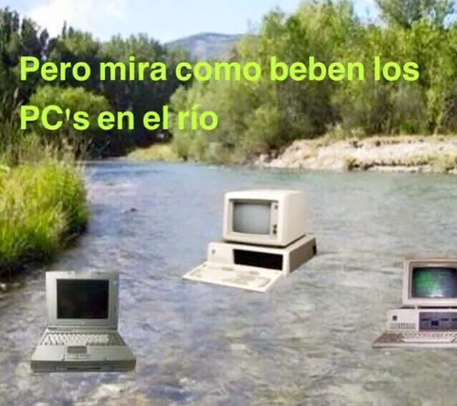 navideno