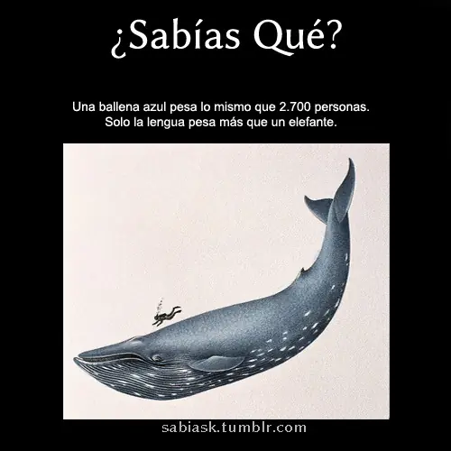 curiosidades