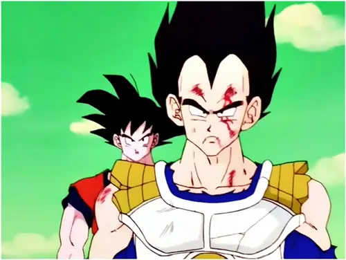 vegeta