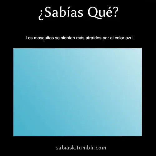 noticias curiosas